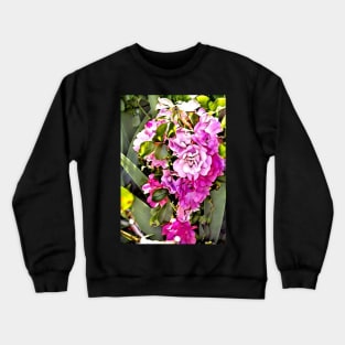 Botanica Crewneck Sweatshirt